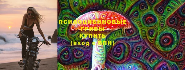 трава Коряжма
