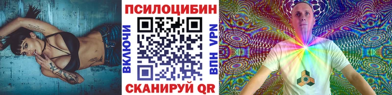 KRAKEN вход  Бердск  Псилоцибиновые грибы мухоморы 